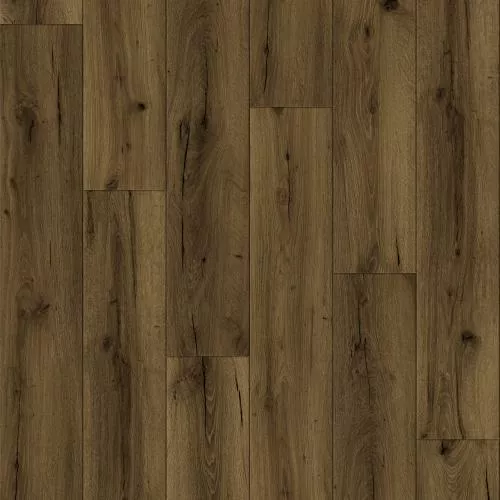 BW-07 Дуб Волга