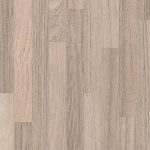 1426506 Тик океанский