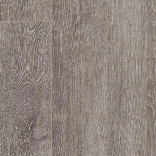 1426530 Дуб светло-серый