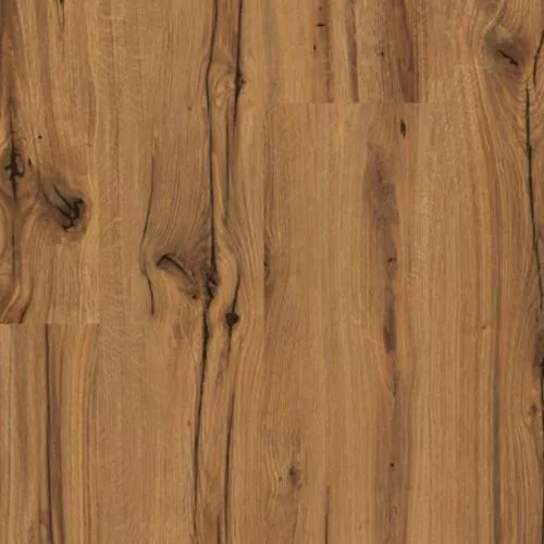 1593814 Дуб History