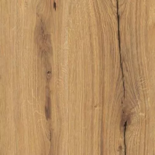 1744348 Дуб Chronicle