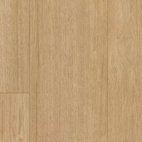 1744349 Дуб Престиж природа