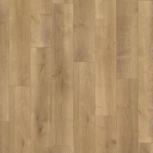 1744350 Дуб Монтереии светло-белый