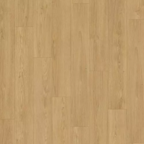 1748724 Дуб Монблан