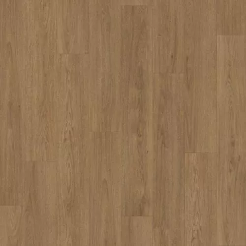 1748790 Дуб Монблан