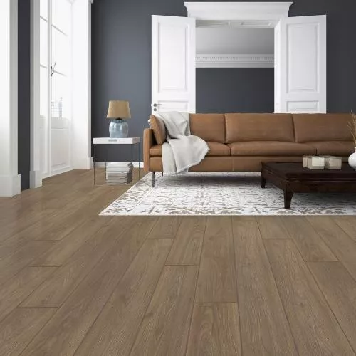 LF 706 Кульский Каштан