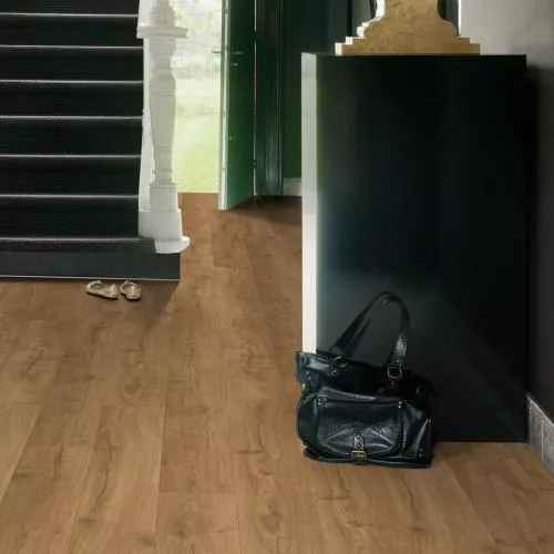 IM1848 Дуб класический