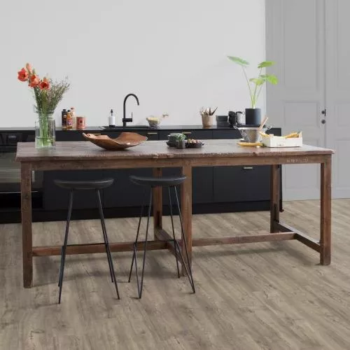 IM1993 Дуб дымчатый