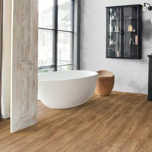 IM1994 Дуб южный