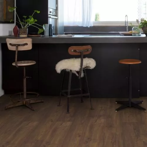 IMU1851 Дуб деревенский