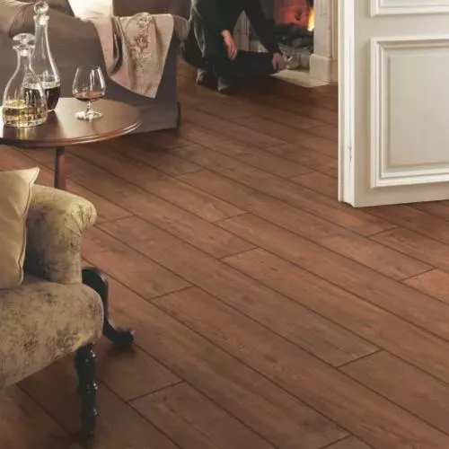 IMU1995 Дуб бордо