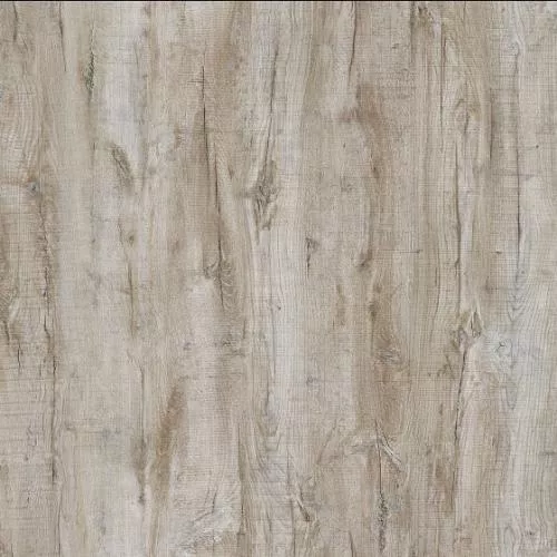 LCR099 Дуб Приморский