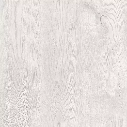 LCR114 Дуб средневековый