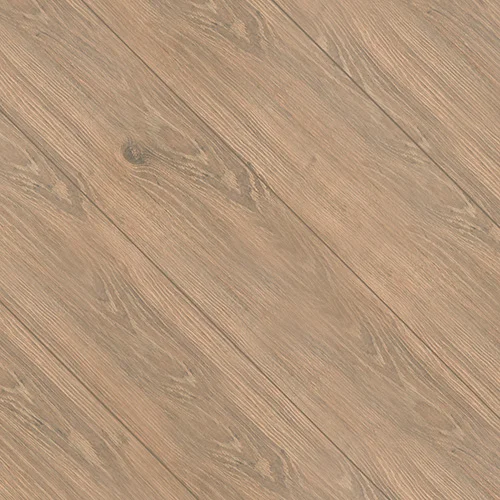 33936230 Дуб королевский