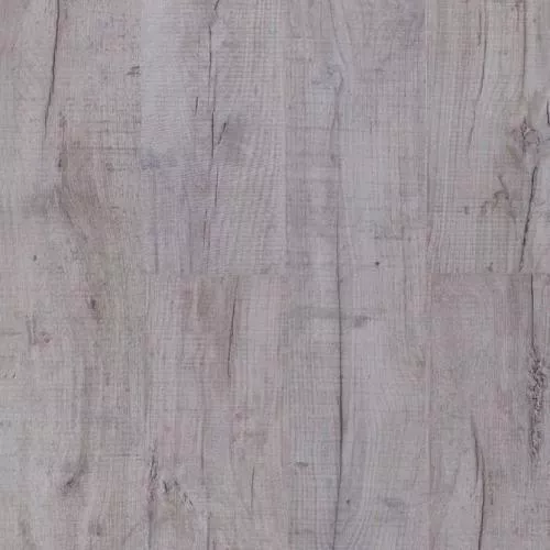 33988230 Дуб арктический