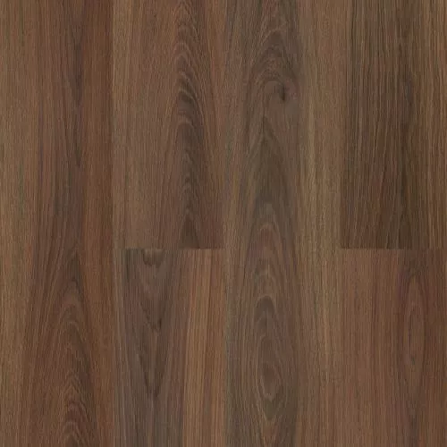 33952133 Дуб английский