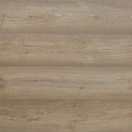 33953133 Дуб янтарный