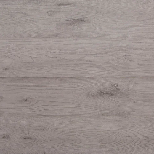 33954133 Дуб серебристый