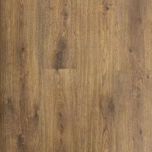 34913229 Дуб вирджиния