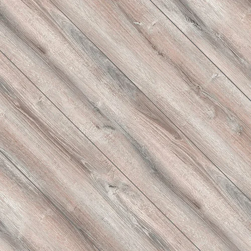 34920229 Дуб Барберо