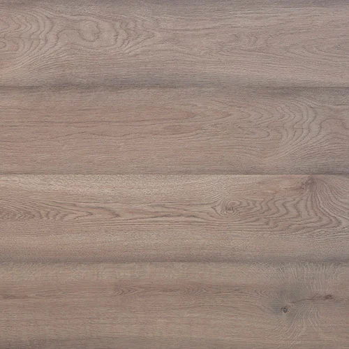 34958229 Дуб канадский