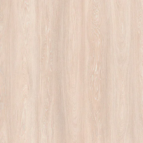 34962229 Дуб Акоя