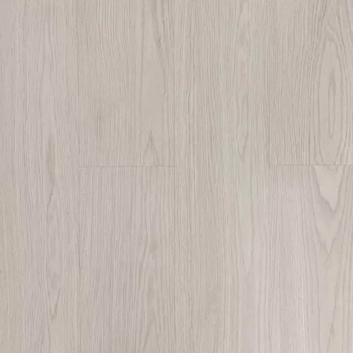 34974229 Дуб альпийский