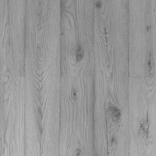 34989229 Дуб серебристый