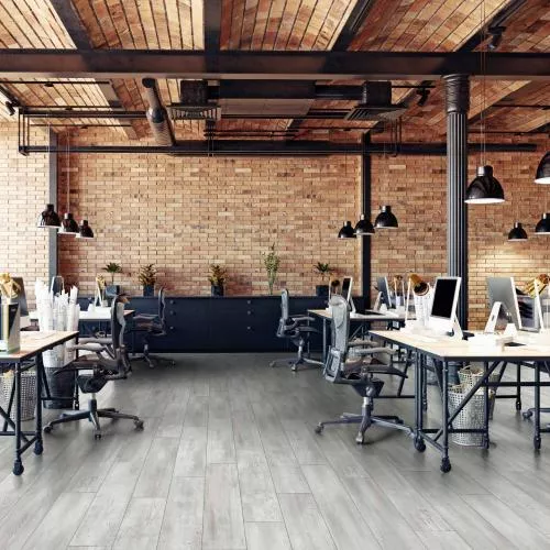 R1219A Сосна Викинг