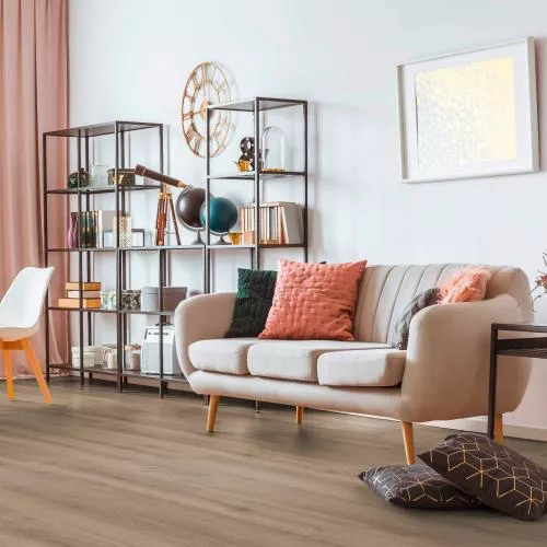 RV824A Дуб Луксор титан