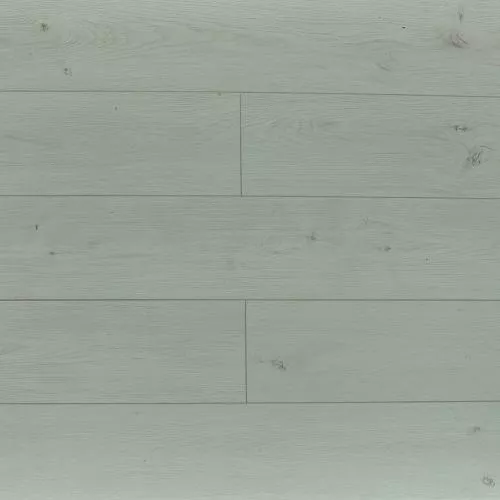 ROC02 Дуб Барлоу