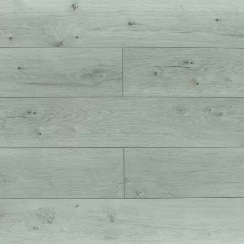 ROC04 Дуб Гудвин