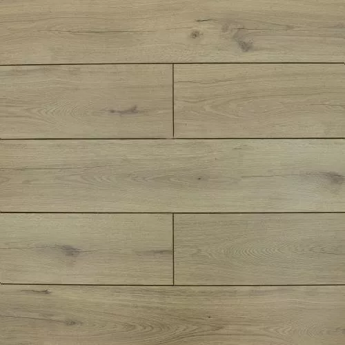 ROC06 Дуб Джагер