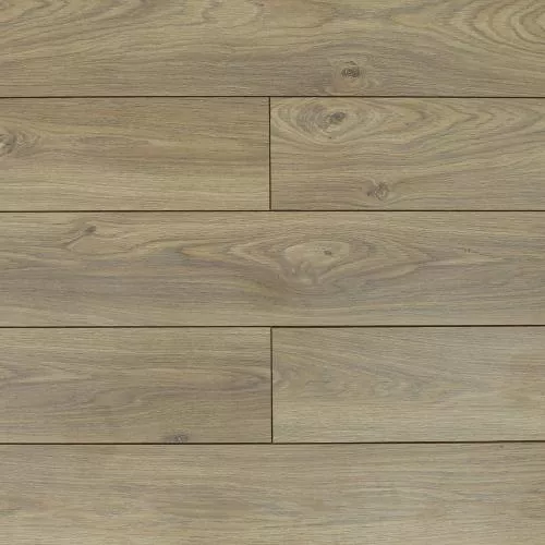 ROC07 Дуб Батори