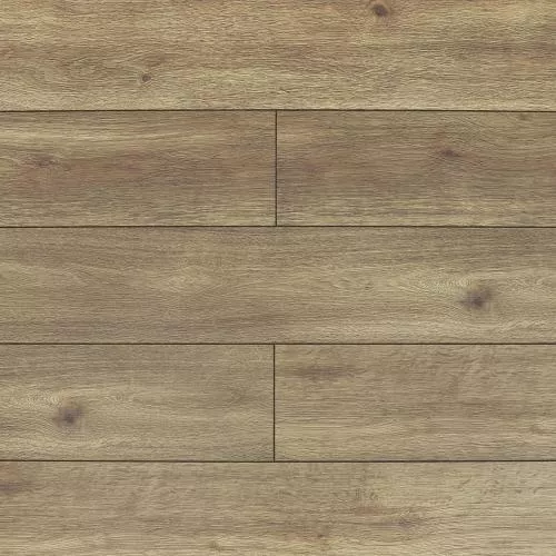 ROC08 Дуб Кромер