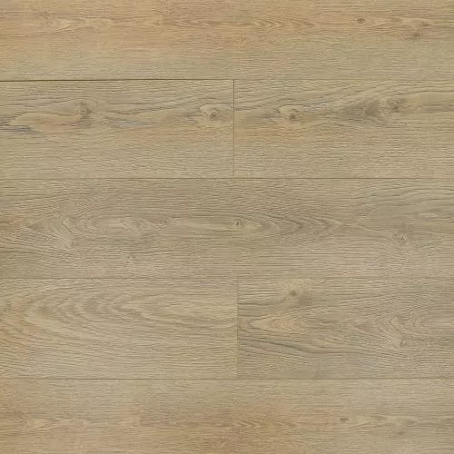 ROC09 Вяз Альбрехт