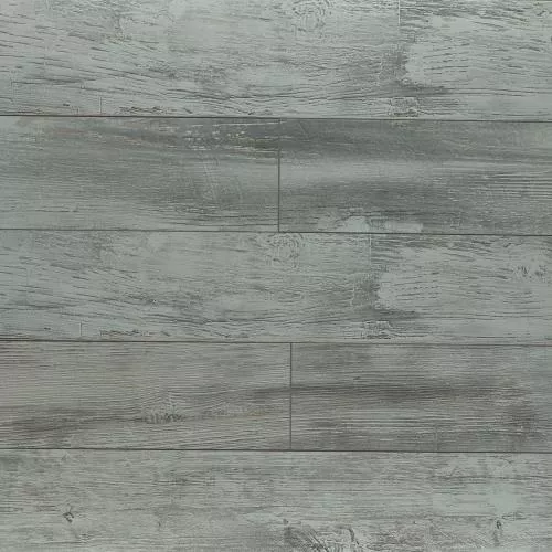 ROC42 Дуб Дитрих