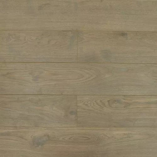 ROC47 Дуб Дориан