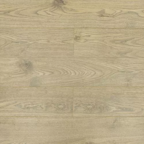 ROC49 Дуб Гилберт