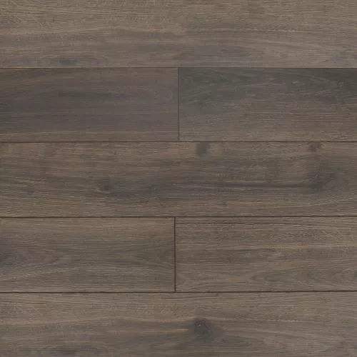 ROC50 Ясень Бруно