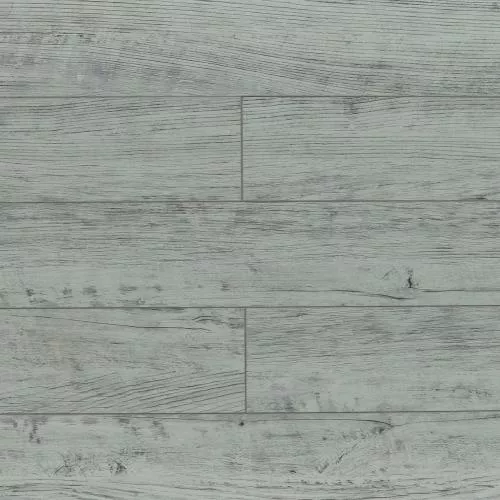 ROC71 Дуб Дарси