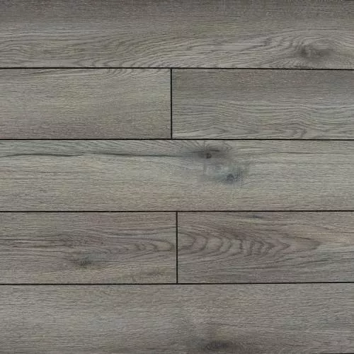 ROC74 Дуб Пеллегрин