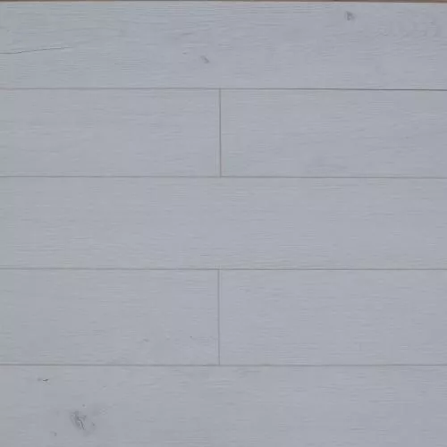 ROC79 Дуб Аркадия