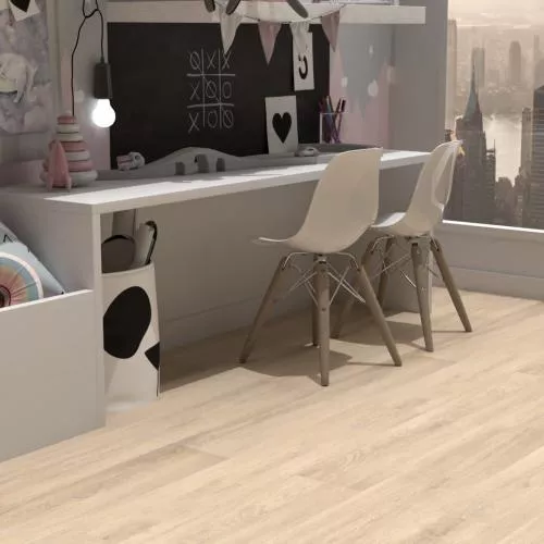  Акация Серебристая