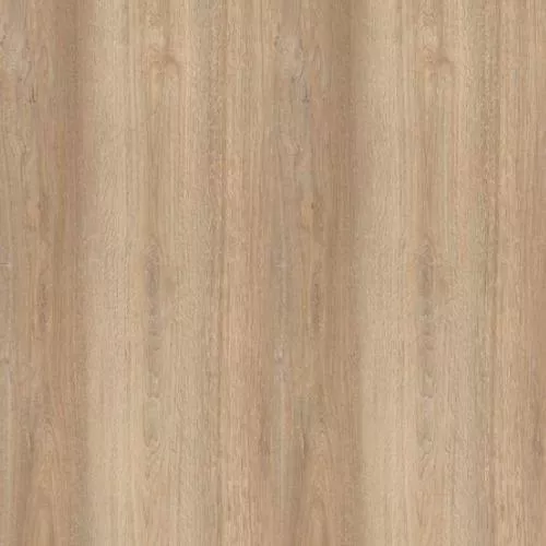 SF02 Дуб Миланский