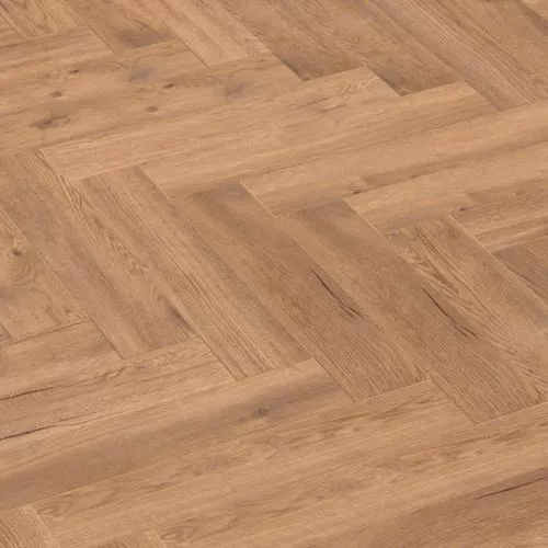 D8230 Дуб Киву