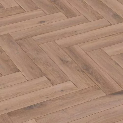 D8231 Дуб Бейкер