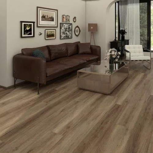 50527 Дуб Элиан