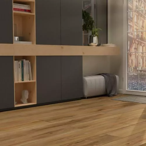 50637 Дуб Теодор