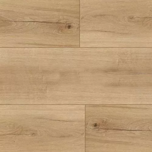 PF 7506 Дуб Болонья